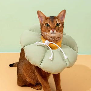 Pet Anti-Lick Anti-Bite Elizabethan Collar - PetPark