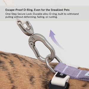 Valora Ultra-Lightweight H-Shaped Escape-Proof Dog Harness and Leash Set - PetPark