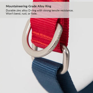 Rainbow Safety Dog Collar with Pull-Control and Choke Prevention - PetPark