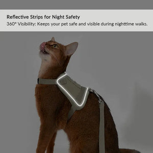 Valora Ultra-Lightweight Harness and Leash Set for Cats with Locator Pocket - PetPark