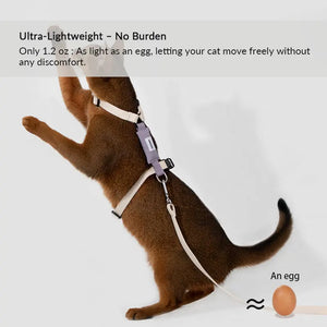 Valora Dual-Buckle Ultra-Lightweight H-Shaped Cat Harness and Leash Set - PetPark