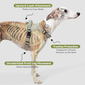 Valora 2-Second Easy-Fit Harness with Anti-Choke Position-Limit & Locator Pocket - PetPark