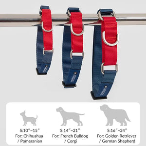 Rainbow Safety Dog Collar with Pull-Control and Choke Prevention - PetPark