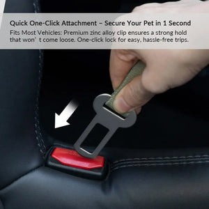 Valora Elastic Shock-Absorbing Pet Car Safety Belt - PetPark