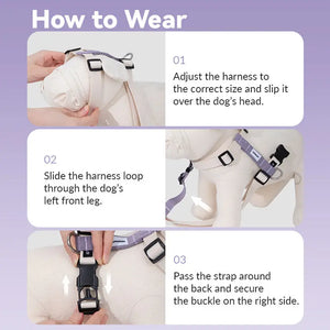 Valora Ultra-Lightweight H-Shaped Escape-Proof Dog Harness and Leash Set - PetPark