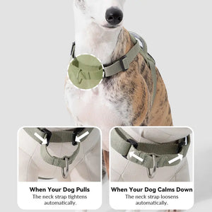 Valora 2-Second Easy-Fit Harness with Anti-Choke Position-Limit & Locator Pocket - PetPark