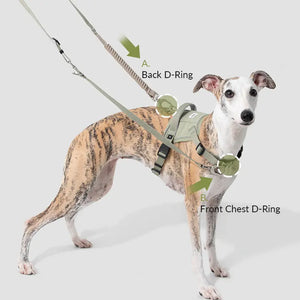 Valora 2-Second Easy-Fit Harness with Anti-Choke Position-Limit & Locator Pocket - PetPark