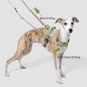 Valora Multi-Function Elastic Shock-Absorbing Leash | Choose from Leash, Dual-Leash Extender, or Crossbody Waist-Shoulder Strap - PetPark