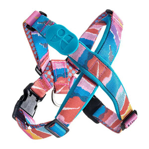 Colorful PRO Protective Trachea Dog X Harness - PetPark