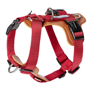 BOBO H-Shaped Leather-Cushioned Harness | Choose from Harness, Leash, Travel Bag, or 3-in-1 Set - PetPark