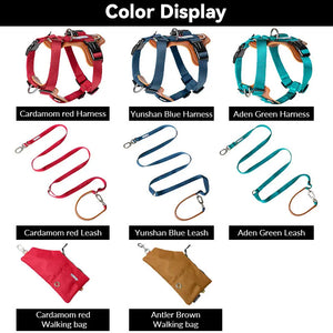 BOBO H-Shaped Leather-Cushioned Harness | Choose from Harness, Leash, Travel Bag, or 3-in-1 Set - PetPark