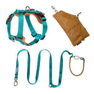 BOBO H-Shaped Leather-Cushioned Harness | Choose from Harness, Leash, Travel Bag, or 3-in-1 Set - PetPark