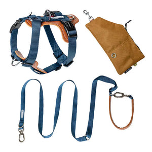 BOBO H-Shaped Leather-Cushioned Harness | Choose from Harness, Leash, Travel Bag, or 3-in-1 Set - PetPark