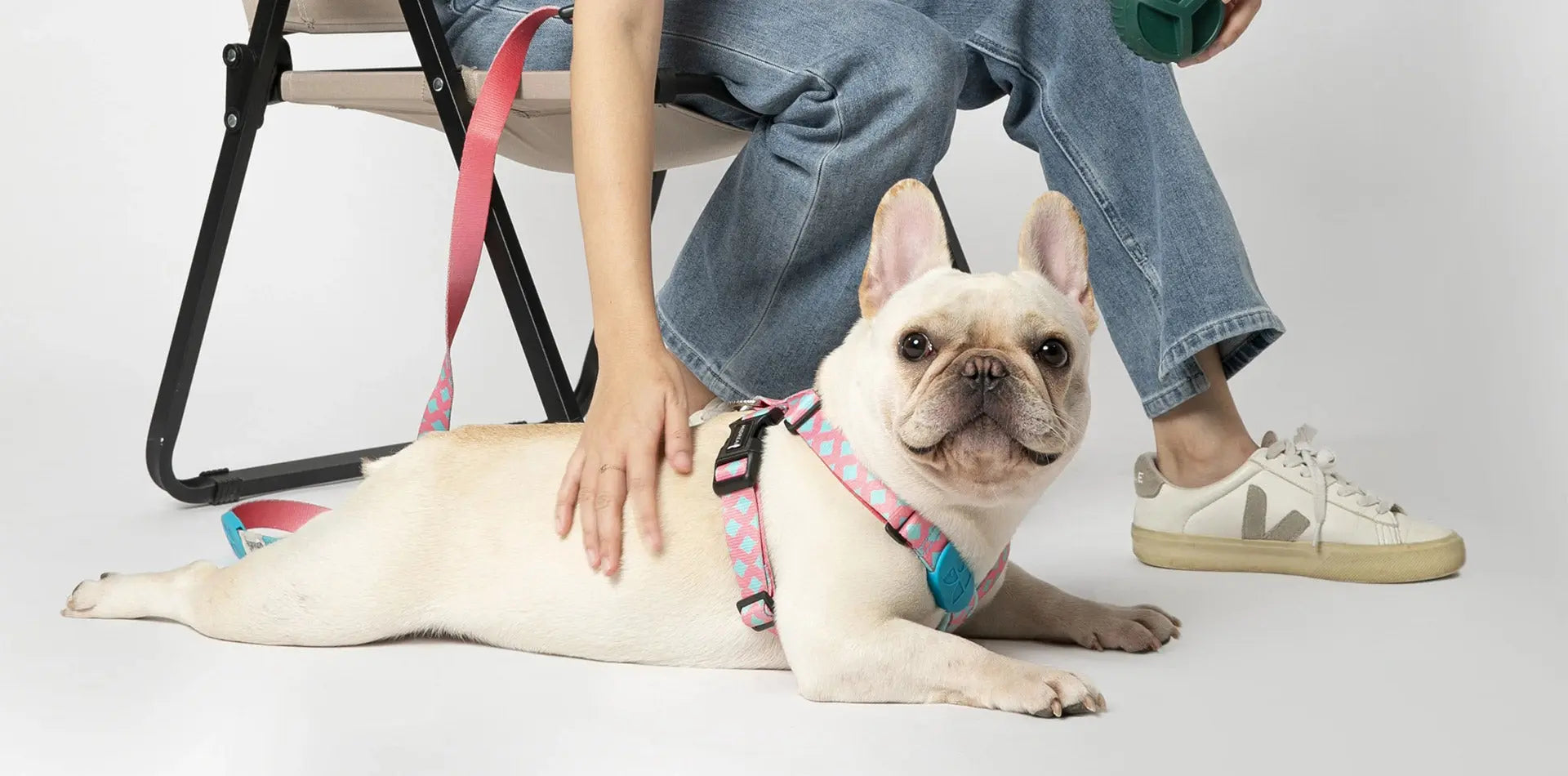  Is Your Dog Reverse Sneezing a Lot? Don’t Ignore It—Especially If They’re a Flat-Faced Breed