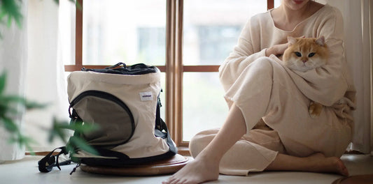 Part 1: Why Cats Bite: Understanding Cat Aggressive Behavior Sudden and How to Correct It(1/2)