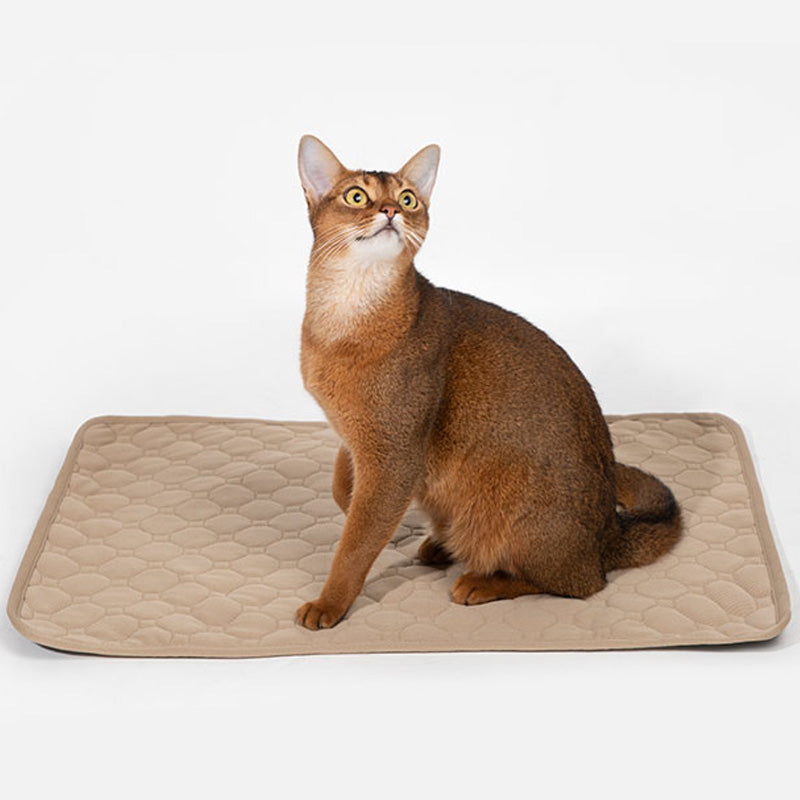 Pet Travel Bag Disposable Pee Pad