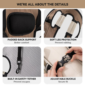 Padded back support, soft leg guards, safety tether, and adjustable buckles create a secure, comfortable travel fit.