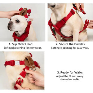 Easy-on dog harness instructions showing slip-over head entry, quick-release buckles, and a secure fit before walks.
