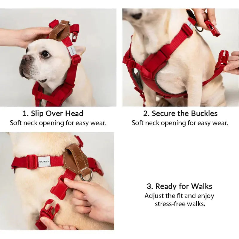 Easy-on dog harness instructions showing slip-over head entry, quick-release buckles, and a secure fit before walks.