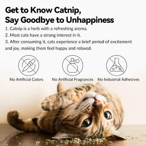 100% Natural Catnip Cat Toy - PetPark