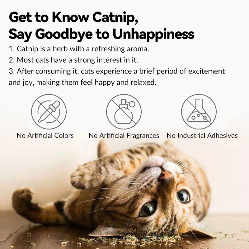 100% Natural Catnip Cat Toy - PetPark