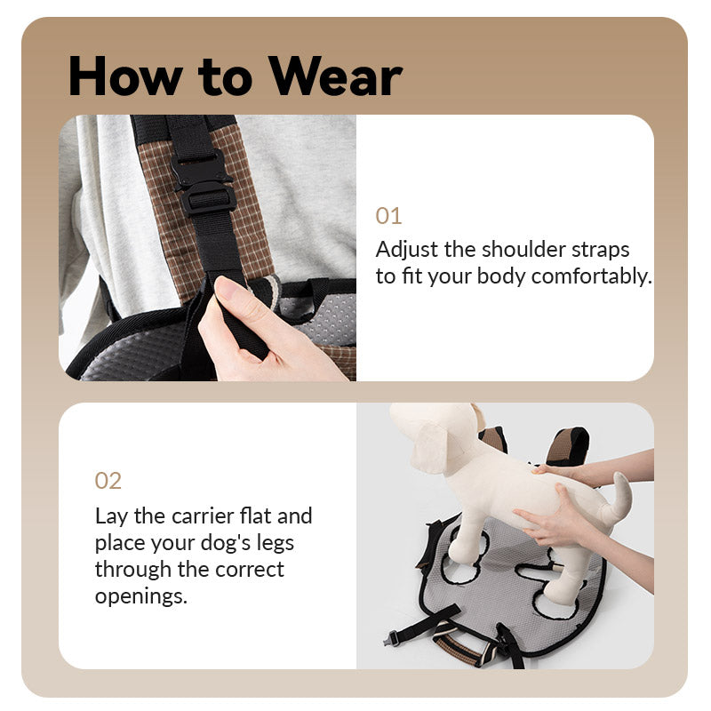 Easy wearing guide showing four-leg placement, buckle fastening, and strap adjustment before outdoor walks.