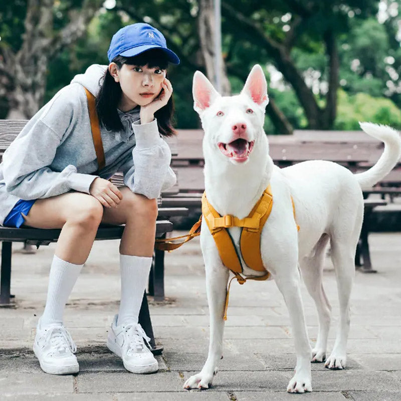 Choke free dog harness by TERRA on a white dog at the park, with underarm-friendly X-fit support for daily walks.