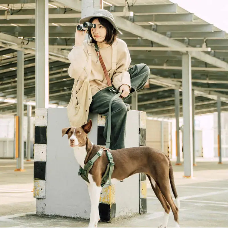 Hands-free dog leash worn crossbody with a matching harness, offering easy movement for urban walks and outings.