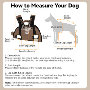 Pet carrier measurement guide showing chest girth, back length, and leg dimensions to choose a secure fit.