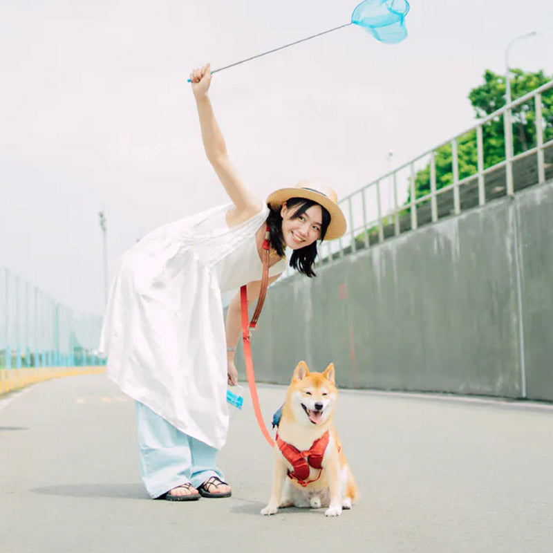 Red crossbody dog leash paired with a matching harness for an easygoing, hands-free walk with a small dog.