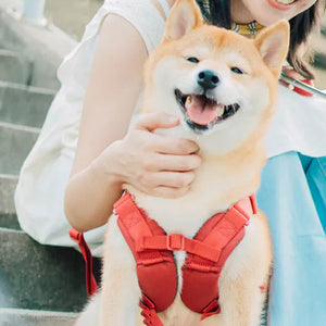 Choke free dog harness by TERRA in red on a happy Shiba Inu, with padded X-fit comfort for weekend adventures.