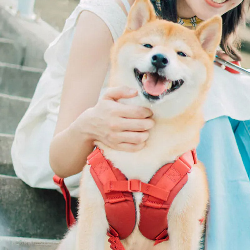 Choke free dog harness by TERRA in red on a happy Shiba Inu, with padded X-fit comfort for weekend adventures.