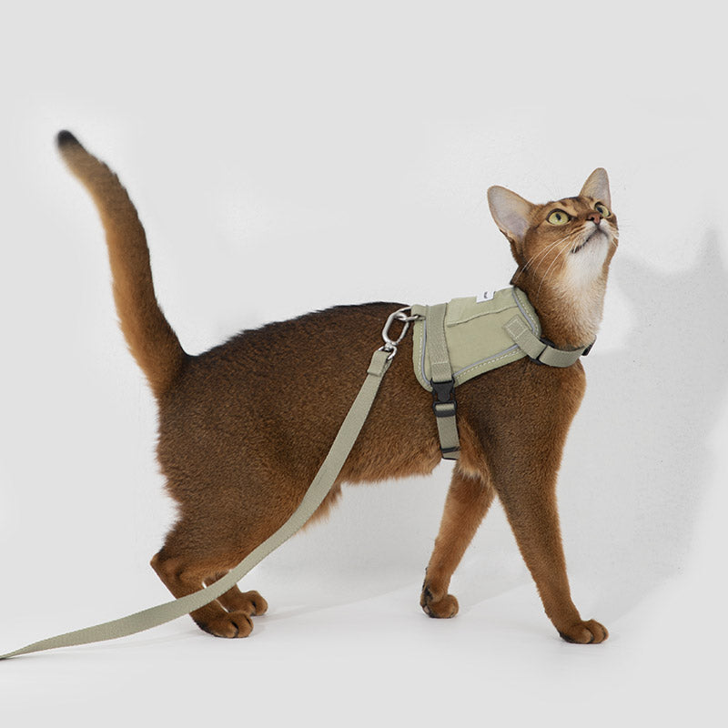 【2nd -50%】Valora Ultra-Lightweight Harness and Leash Set for Cats with Locator Pocket