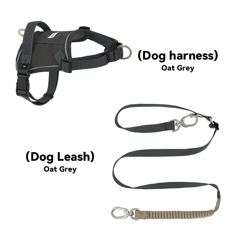 Valora Multi-Function Elastic Shock-Absorbing Leash | Choose from Leash, Dual-Leash Extender, or Crossbody Waist-Shoulder Strap PetPark