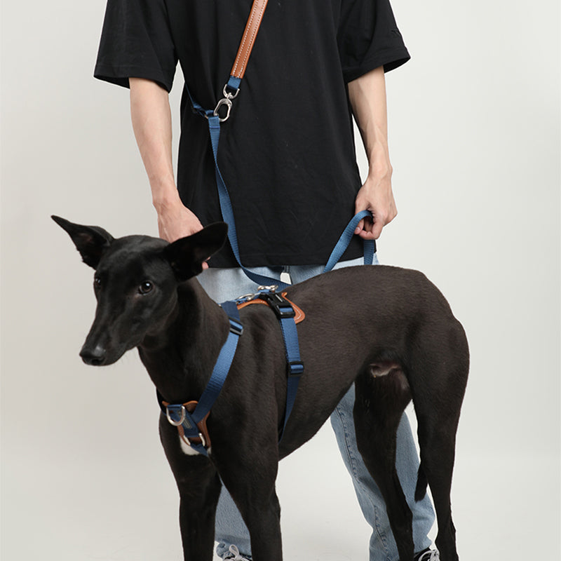 Double attachment dog harness best sale