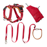 Color_Cardamom red Dog Harness and Leash Set with walking bag