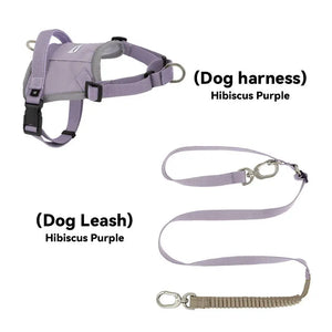 Valora Multi-Function Elastic Shock-Absorbing Leash | Choose from Leash, Dual-Leash Extender, or Crossbody Waist-Shoulder Strap PetPark