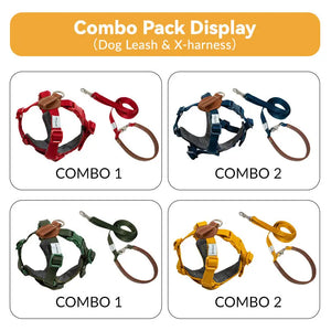 Matching dog harness and leash set color options, featuring red, blue, green, and yellow TERRA walking combos.