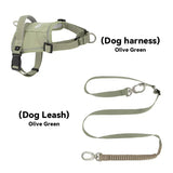 Valora Multi-Function Elastic Shock-Absorbing Leash | Choose from Leash, Dual-Leash Extender, or Crossbody Waist-Shoulder Strap PetPark