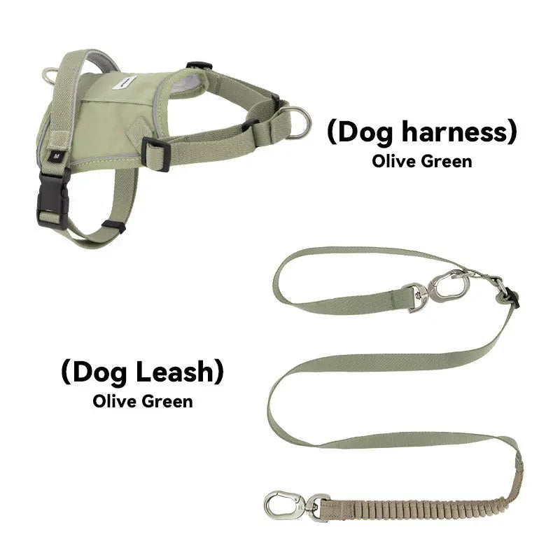Valora Multi-Function Elastic Shock-Absorbing Leash | Choose from Leash, Dual-Leash Extender, or Crossbody Waist-Shoulder Strap PetPark