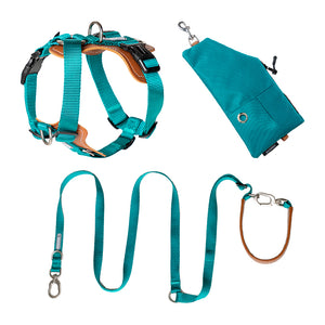 Color_Aden Green Dog Harness and Leash Set with walking bag