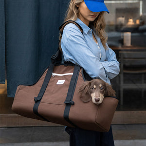 Dachshund Carrier with a small dog riding comfortably beside its owner, styled for city outings and short trips.