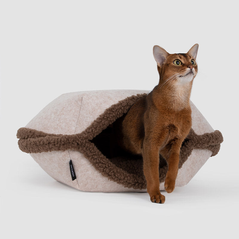 Semi-Enclosed Dual-Mode Shell Cat Bed