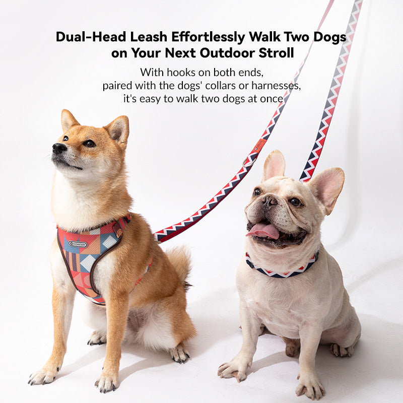 Rainbow Multi-function Single-end & Double-end Dog Leash - PetPark