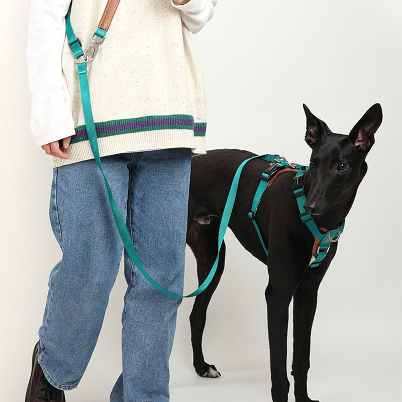 BOBO 3-in-1 Dog Leash, Harness, and Travel Bag Set - PetPark