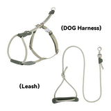 Leather & Thick Round Rope Dog Leash – Leash Only or Harness & Leash Set Pet Park