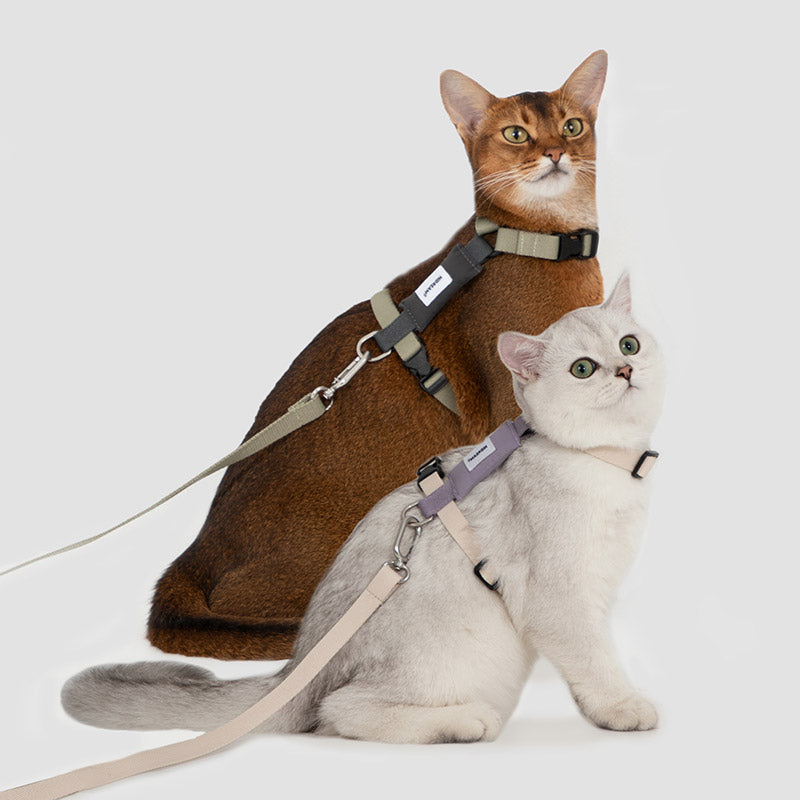 【2nd -50%】Valora Dual-Buckle Ultra-Lightweight H-Shaped Cat Harness and Leash Set