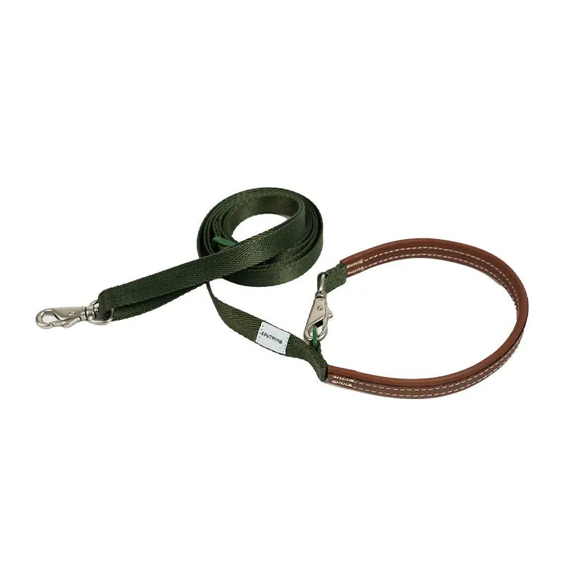 Crossbody dog leash in green with adjustable nylon webbing and a leather handle for relaxed outdoor walks.