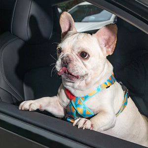 Colorful Car Seat Belt Pet Leash - PetPark