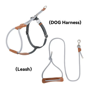 Leather & Thick Round Rope Dog Leash – Leash Only or Harness & Leash Set Pet Park